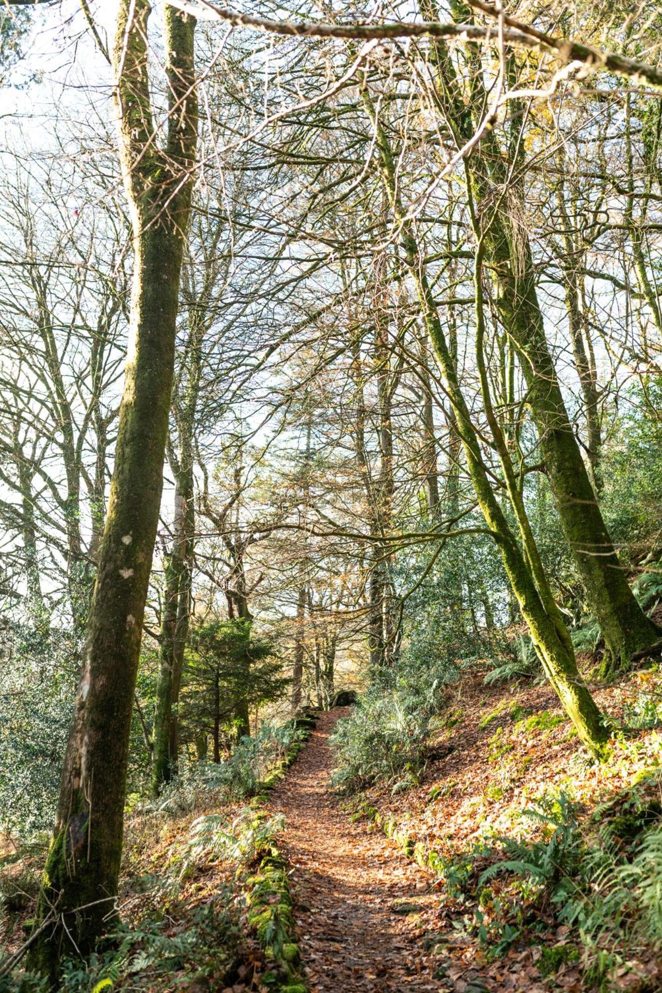 ホテル Lancrigg グラスミア エクステリア 写真